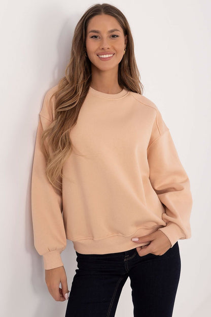 Sweatshirt model 204417 Factory Price